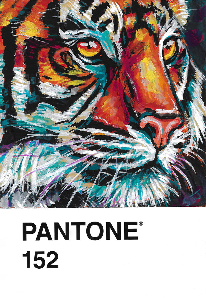 Pantone 15 Tiger Canvas Print