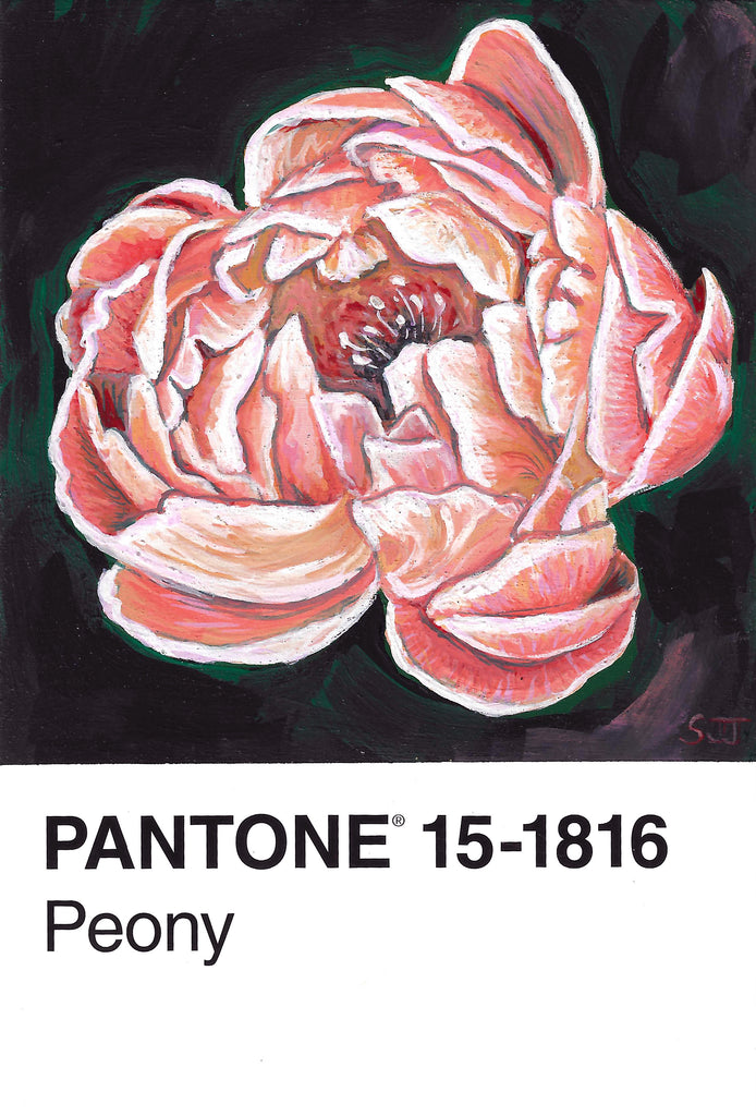 Pantone 13 Peony Canvas Print